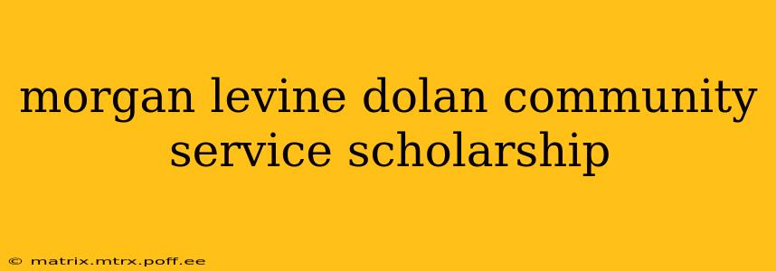 morgan levine dolan community service scholarship