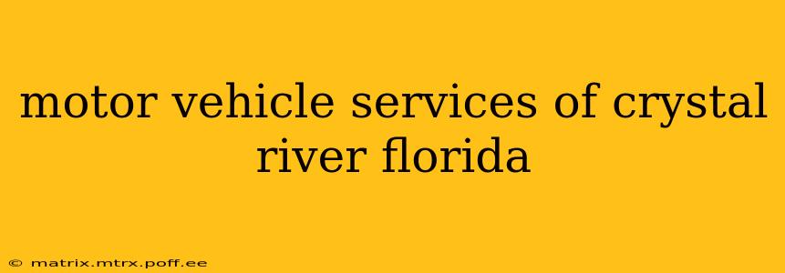 motor vehicle services of crystal river florida