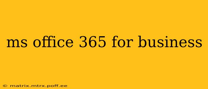 ms office 365 for business