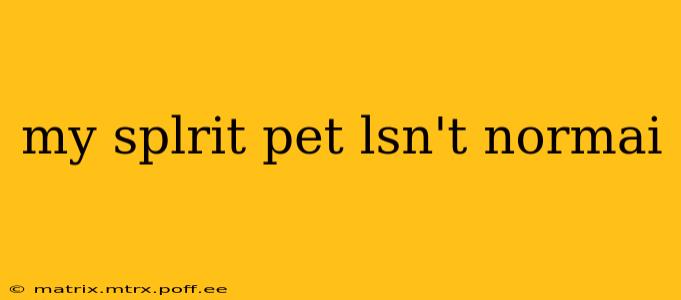 my splrit pet lsn't normai