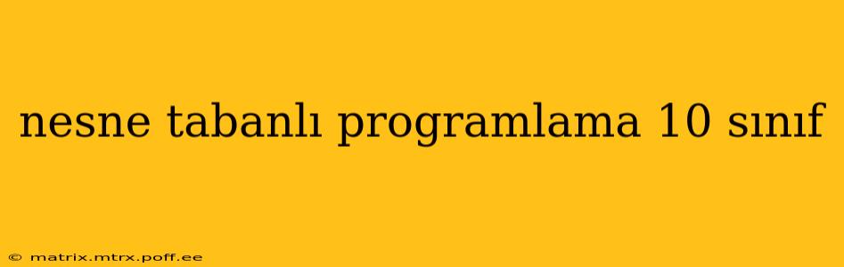 nesne tabanlı programlama 10 sınıf