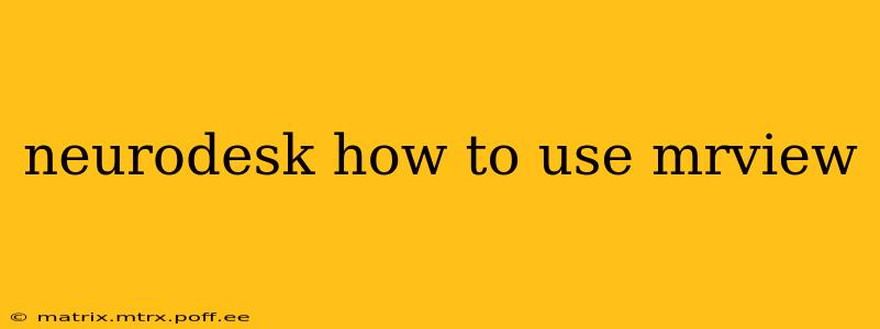 neurodesk how to use mrview