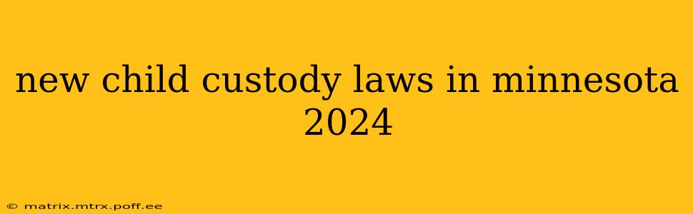 new child custody laws in minnesota 2024