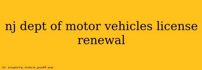 nj dept of motor vehicles license renewal