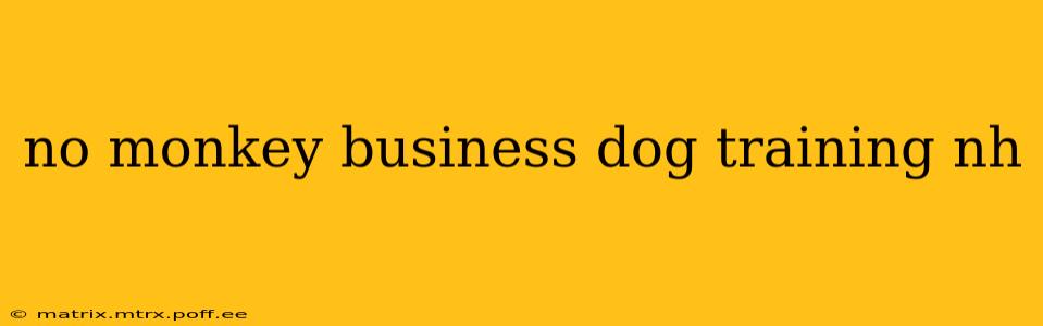 no monkey business dog training nh