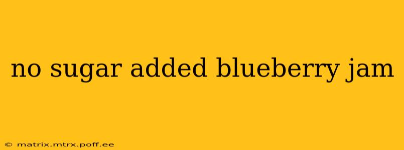 no sugar added blueberry jam