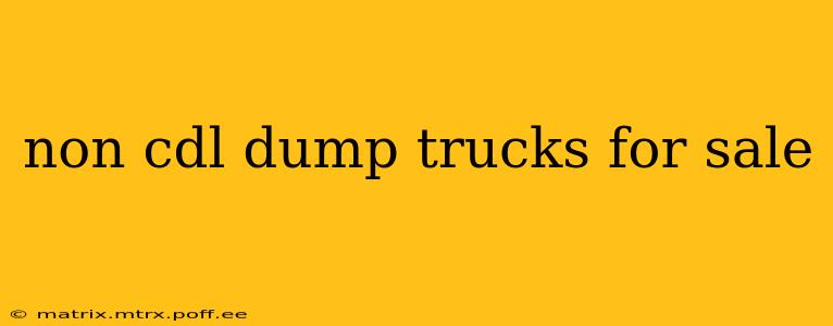 non cdl dump trucks for sale