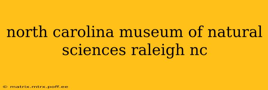 north carolina museum of natural sciences raleigh nc