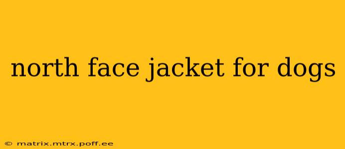 north face jacket for dogs