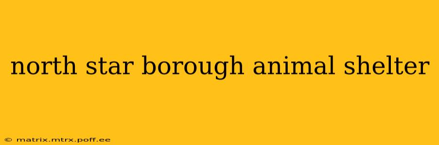 north star borough animal shelter