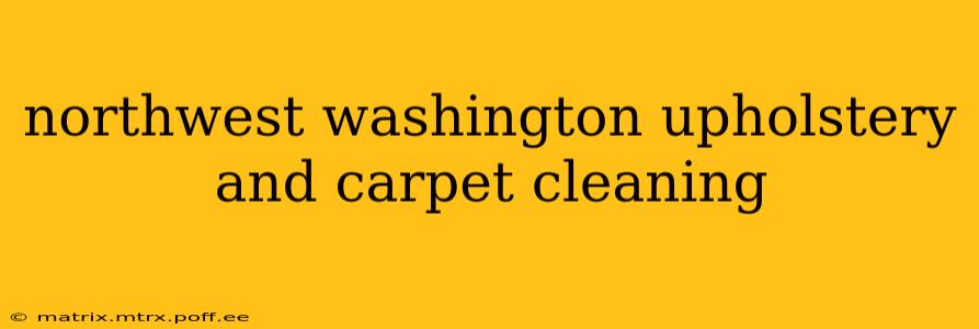 northwest washington upholstery and carpet cleaning