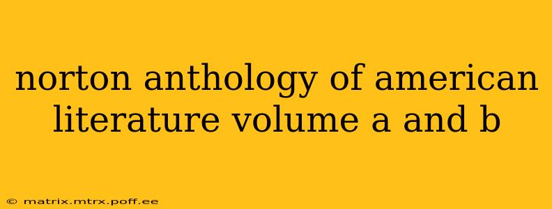 norton anthology of american literature volume a and b
