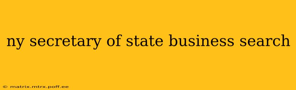 ny secretary of state business search