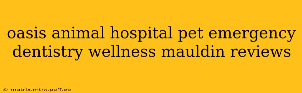 oasis animal hospital pet emergency dentistry wellness mauldin reviews