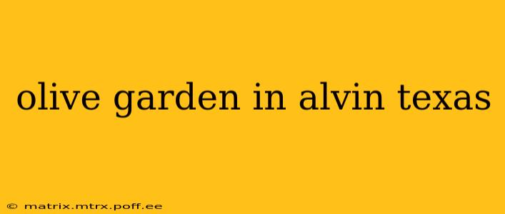 olive garden in alvin texas