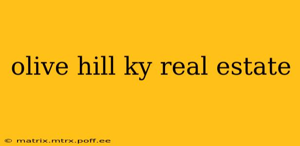 olive hill ky real estate