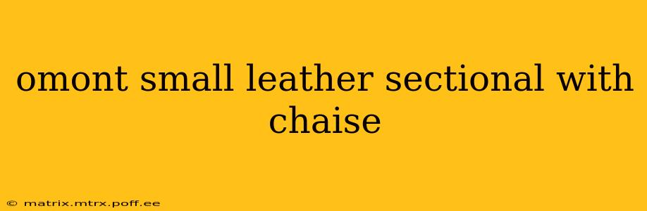 omont small leather sectional with chaise