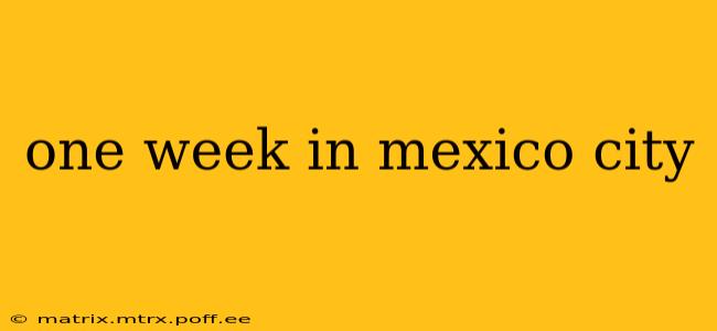 one week in mexico city