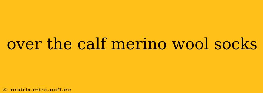 over the calf merino wool socks