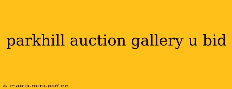 parkhill auction gallery u bid