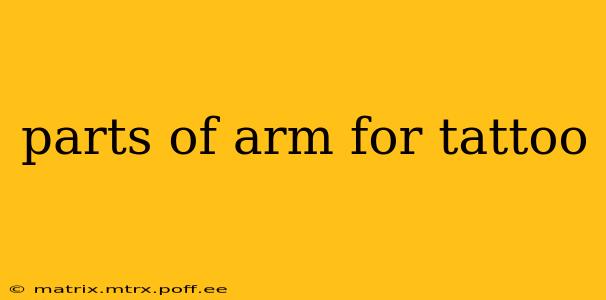 parts of arm for tattoo