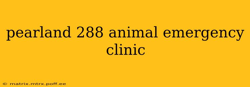 pearland 288 animal emergency clinic