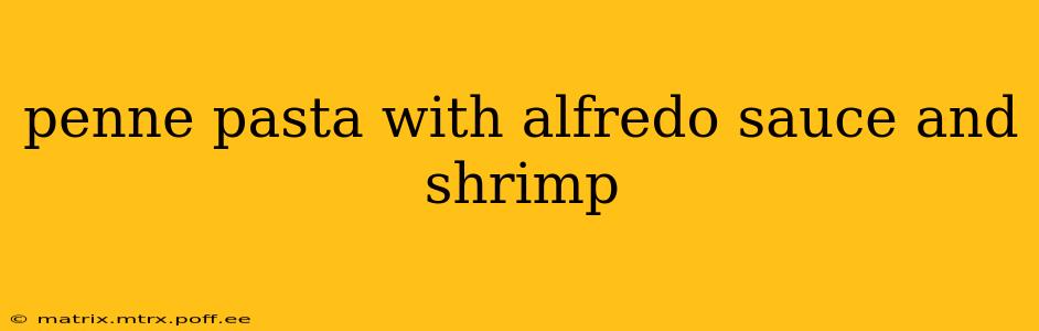 penne pasta with alfredo sauce and shrimp