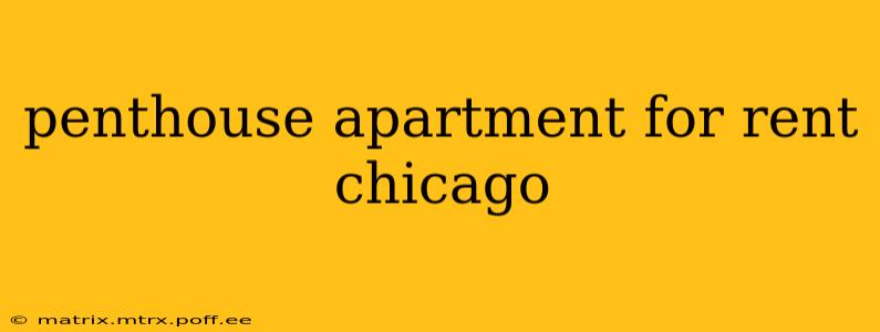penthouse apartment for rent chicago