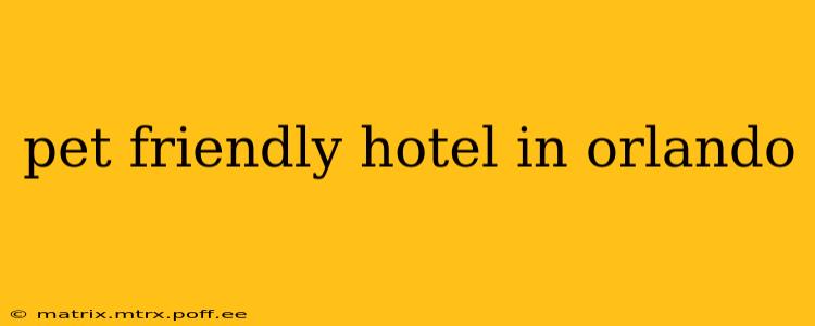 pet friendly hotel in orlando