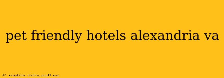 pet friendly hotels alexandria va
