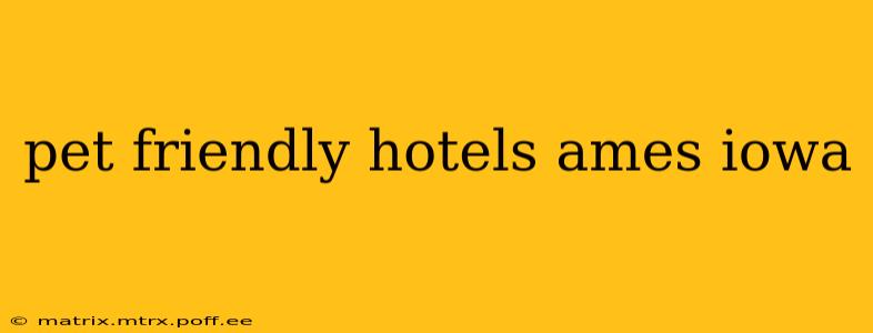 pet friendly hotels ames iowa