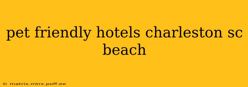 pet friendly hotels charleston sc beach