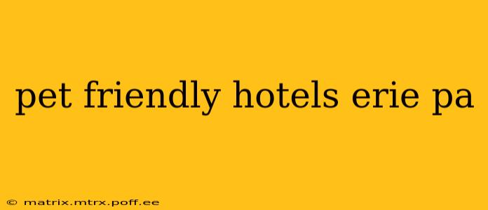 pet friendly hotels erie pa
