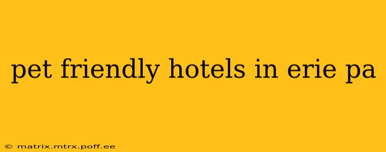 pet friendly hotels in erie pa