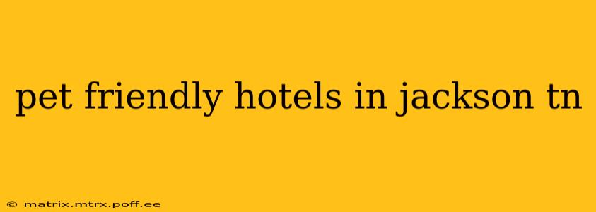 pet friendly hotels in jackson tn