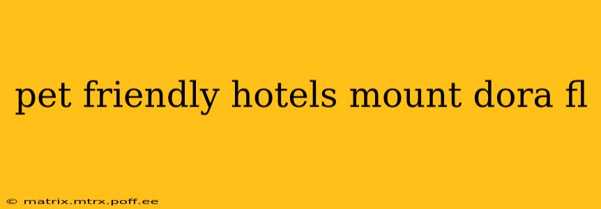 pet friendly hotels mount dora fl