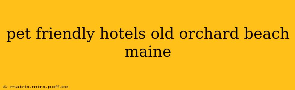 pet friendly hotels old orchard beach maine