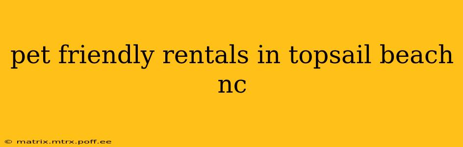 pet friendly rentals in topsail beach nc