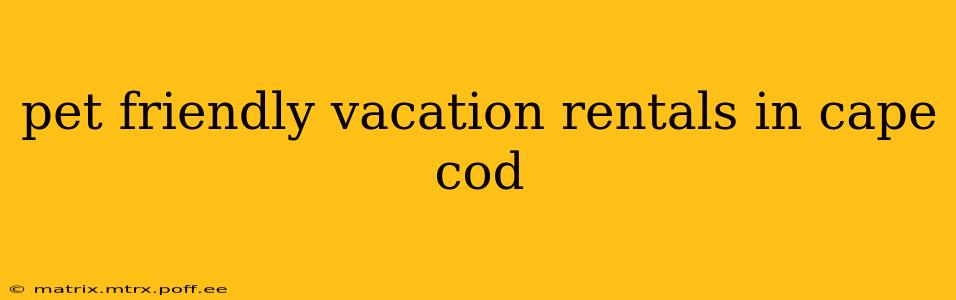 pet friendly vacation rentals in cape cod