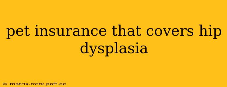 pet insurance that covers hip dysplasia