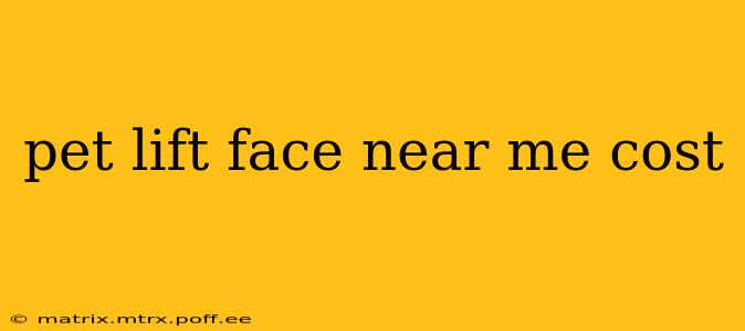 pet lift face near me cost