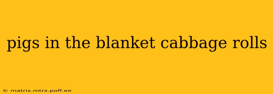 pigs in the blanket cabbage rolls