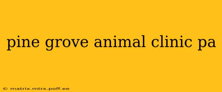 pine grove animal clinic pa