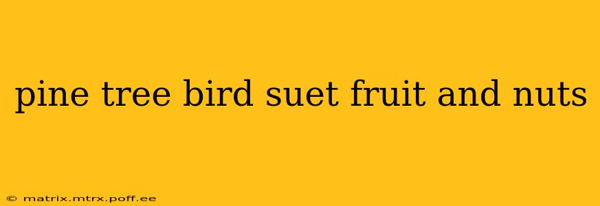 pine tree bird suet fruit and nuts