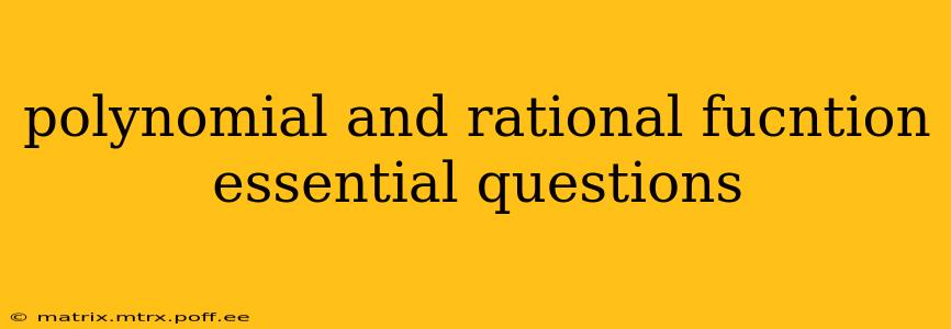 polynomial and rational fucntion essential questions