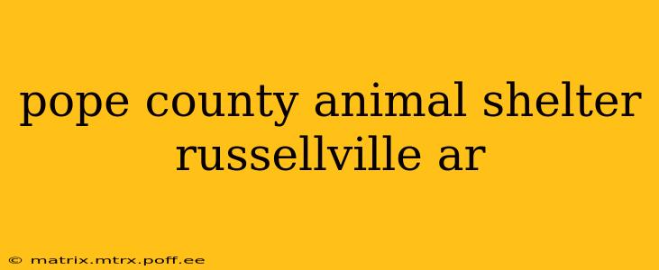 pope county animal shelter russellville ar