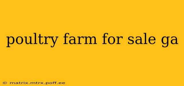 poultry farm for sale ga