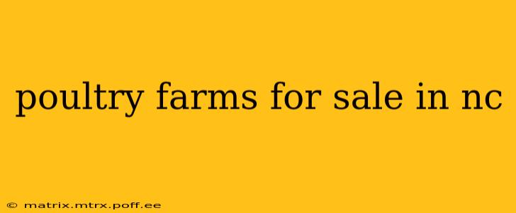 poultry farms for sale in nc