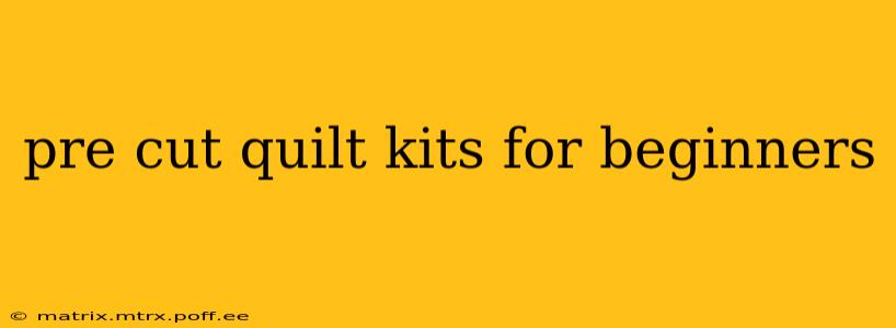 pre cut quilt kits for beginners