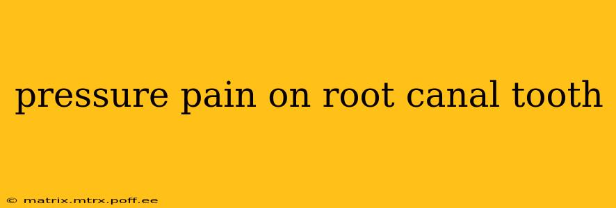pressure pain on root canal tooth
